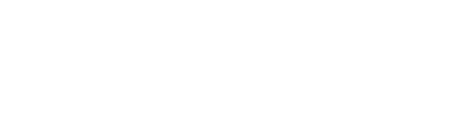 Türkiye Premium Race